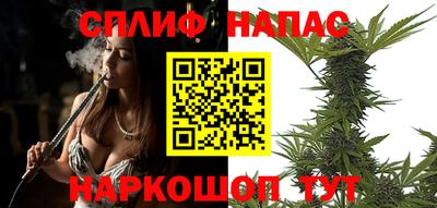 шишки Гагарин