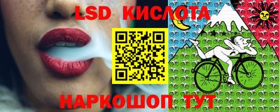 шишки Гагарин