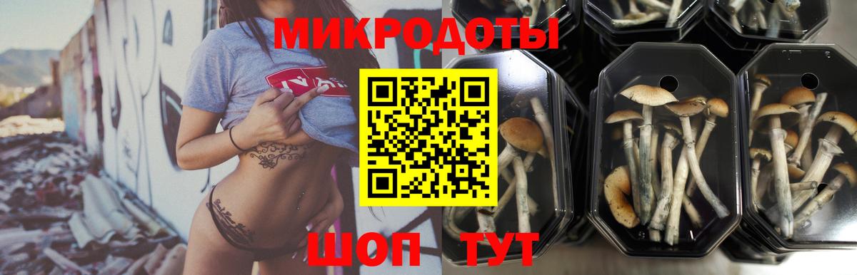Моздок  Галлюциногенные грибы мухоморы  Вход с VPN 