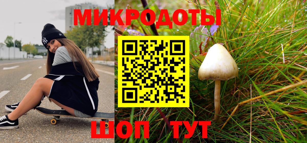 Псилоцибиновые грибы Cubensis Моздок